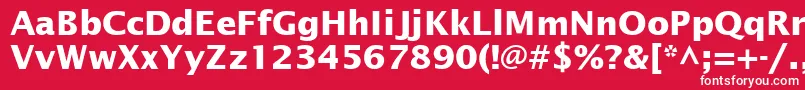 フォントInsightSansSsiBold – 赤い背景に白い文字