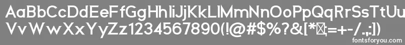 フォントNeosBold – 灰色の背景に白い文字