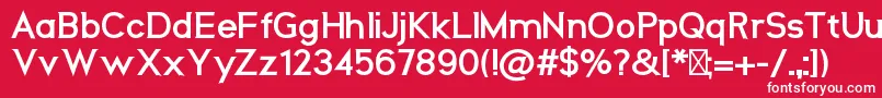 フォントNeosBold – 赤い背景に白い文字