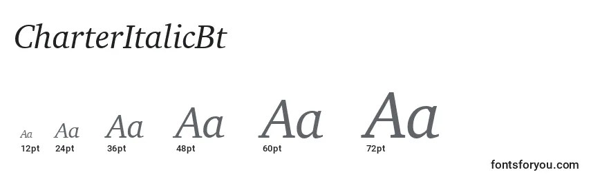 Размеры шрифта CharterItalicBt