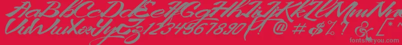 KingCityFreeFont Font – Gray Fonts on Red Background