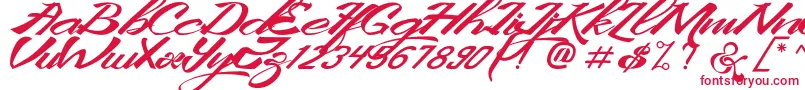 KingCityFreeFont Font – Red Fonts