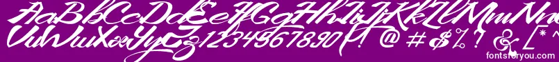 KingCityFreeFont Font – White Fonts on Purple Background