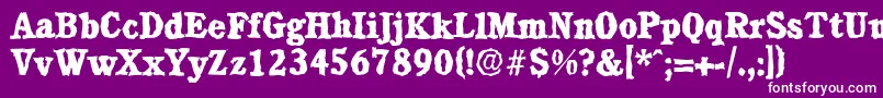 CalgaryrandomXboldRegular Font – White Fonts on Purple Background