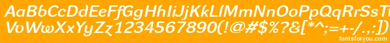 DynagrotesklxeBolditalic Font – White Fonts on Orange Background
