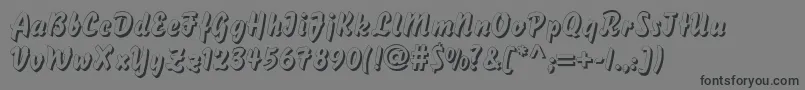 DsBisonShadow Font – Black Fonts on Gray Background