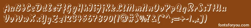 DsBisonShadow Font – White Fonts on Brown Background