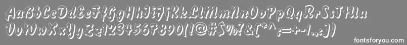 DsBisonShadow Font – White Fonts on Gray Background