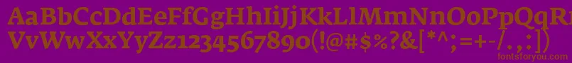 FedraserifaproBold Font – Brown Fonts on Purple Background