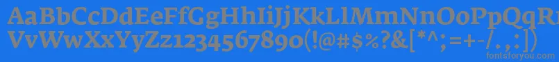 Czcionka FedraserifaproBold – szare czcionki na niebieskim tle