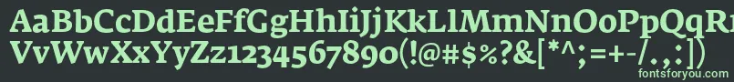 フォントFedraserifaproBold – 黒い背景に緑の文字