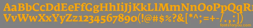 FedraserifaproBold Font – Orange Fonts on Gray Background