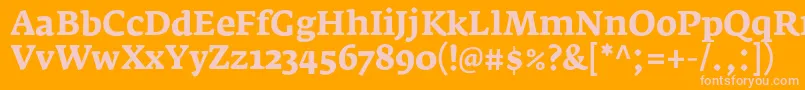 フォントFedraserifaproBold – オレンジの背景にピンクのフォント