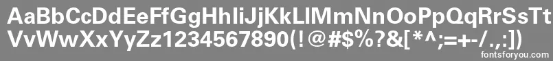 UniversltstdBold Font – White Fonts on Gray Background