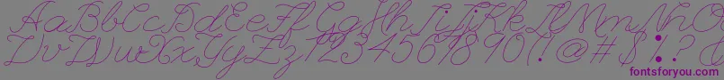 Leaguescriptnumberone Font – Purple Fonts on Gray Background