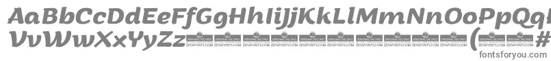 ArturoBolditalicTrial Font – Gray Fonts