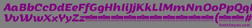 Шрифт ArturoBolditalicTrial – фиолетовые шрифты на сером фоне