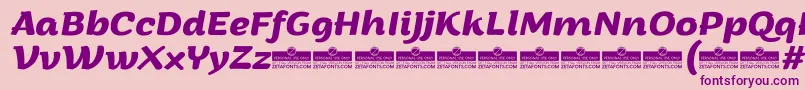 ArturoBolditalicTrial Font – Purple Fonts on Pink Background