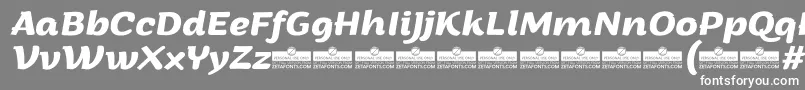 Шрифт ArturoBolditalicTrial – белые шрифты на сером фоне