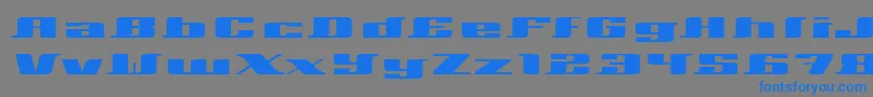 Xeranthemum-fontti – siniset fontit harmaalla taustalla