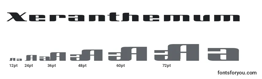 Xeranthemum Font Sizes