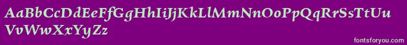 CharpentierrenredDemiobl Font – Green Fonts on Purple Background