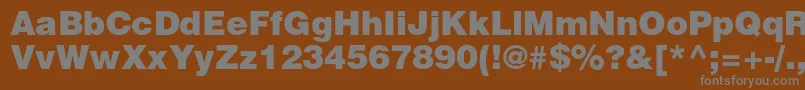 HelveticaltstdBlk Font – Gray Fonts on Brown Background