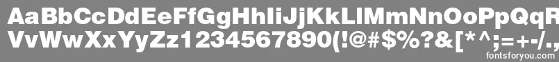 HelveticaltstdBlk Font – White Fonts on Gray Background
