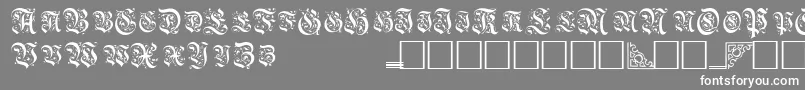 Шрифт TopiascapssskRegular – белые шрифты на сером фоне