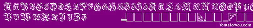 TopiascapssskRegular-Schriftart – Weiße Schriften auf violettem Hintergrund