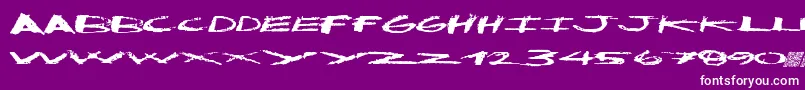 Cleandirty Font – White Fonts on Purple Background