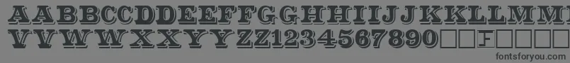 ShadowedSerif Font – Black Fonts on Gray Background