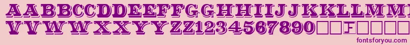 ShadowedSerif Font – Purple Fonts on Pink Background