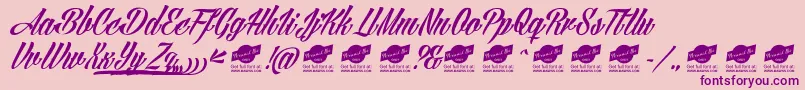 AngillaTattooPersonalUse Font – Purple Fonts on Pink Background