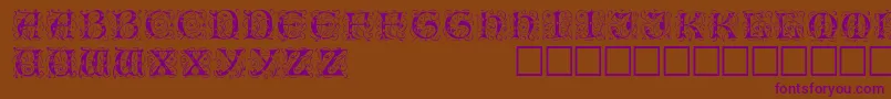 IlluminatitwodisplaycapssskRegular Font – Purple Fonts on Brown Background