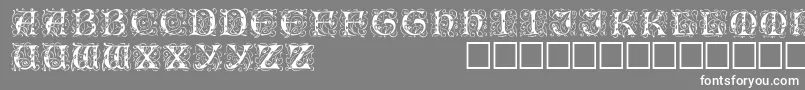 IlluminatitwodisplaycapssskRegular Font – White Fonts on Gray Background