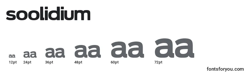Soolidium Font Sizes