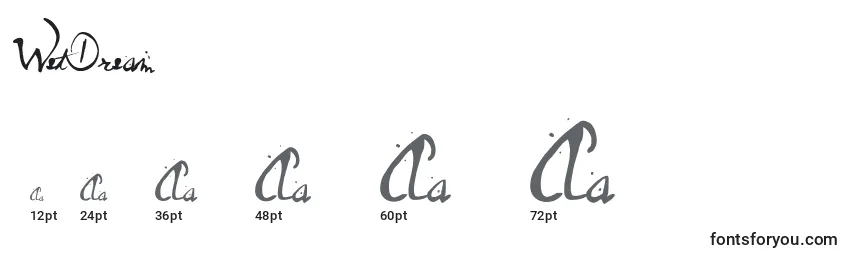 WetDream Font Sizes