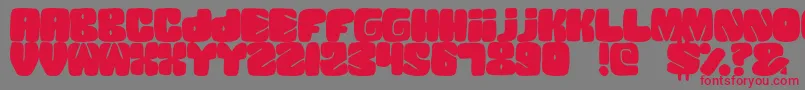 SquandedBlack Font – Red Fonts on Gray Background