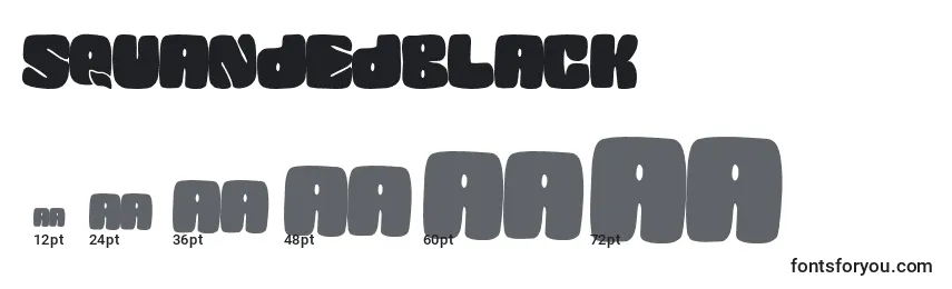 SquandedBlack Font Sizes