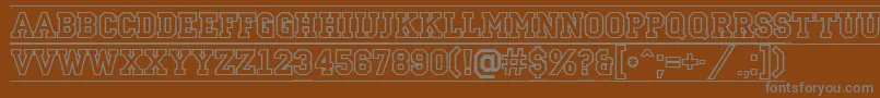 ACampusotldcfr Font – Gray Fonts on Brown Background