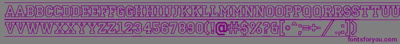 ACampusotldcfr Font – Purple Fonts on Gray Background