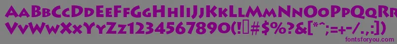 Leetoscanini9Blacksh Font – Purple Fonts on Gray Background