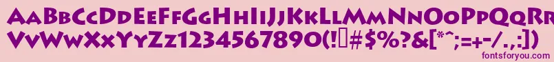 Leetoscanini9Blacksh Font – Purple Fonts on Pink Background