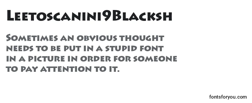 Review of the Leetoscanini9Blacksh Font