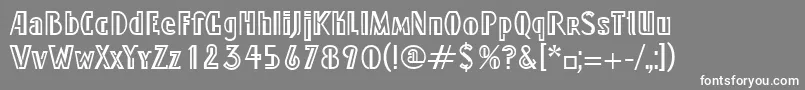 フォントLindyLtRegular – 灰色の背景に白い文字