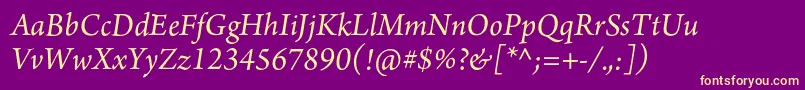 ArnoproItalic12pt Font – Yellow Fonts on Purple Background