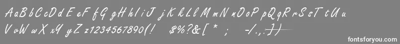 フォントFreestyleScriptNormal – 灰色の背景に白い文字