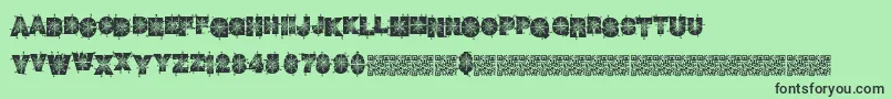 Winterdecor Font – Black Fonts on Green Background