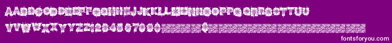 Winterdecor Font – White Fonts on Purple Background